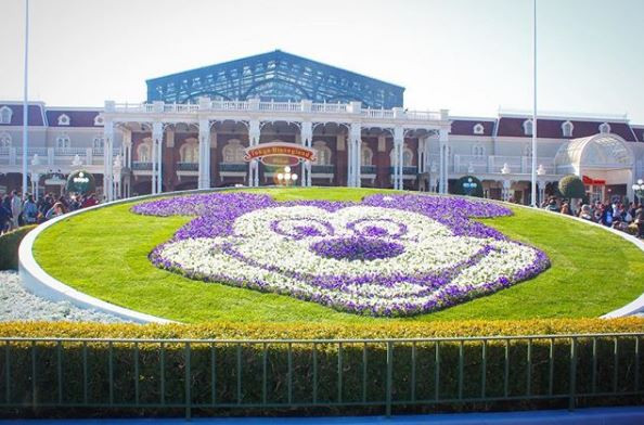 東京ディズニーランドの入り口の花壇