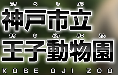 神戸市立王子動物園