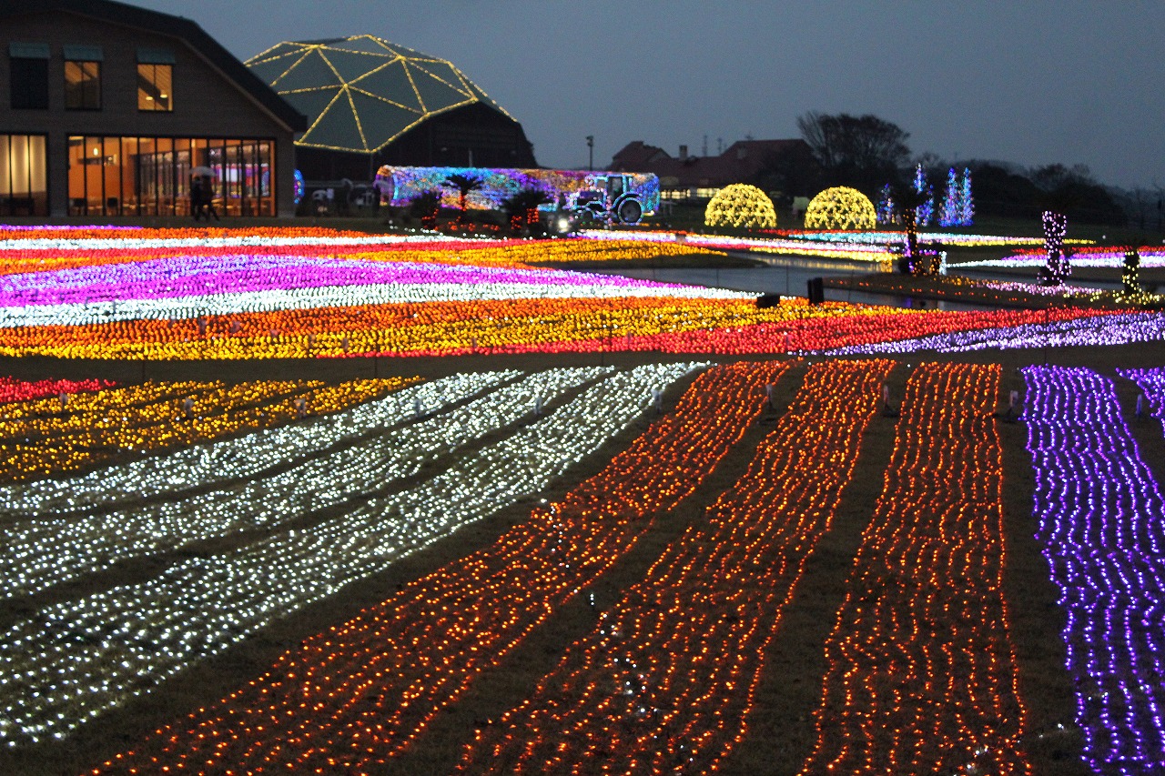 光の花園