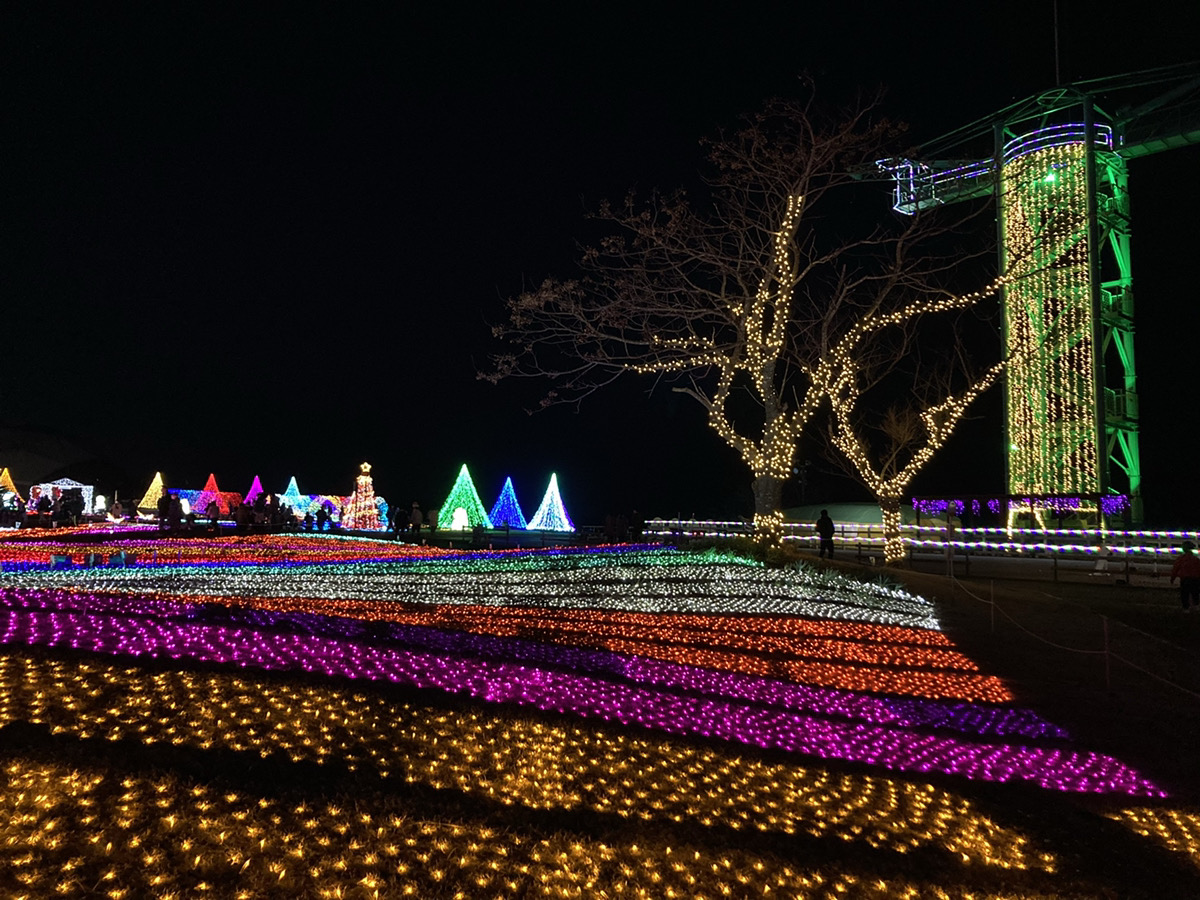 光の花畑