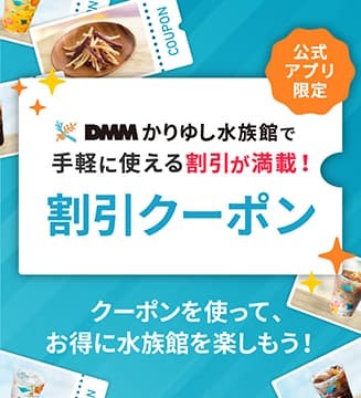 DMMかりゆし水族館に行く際は公式アプリをダウンロード