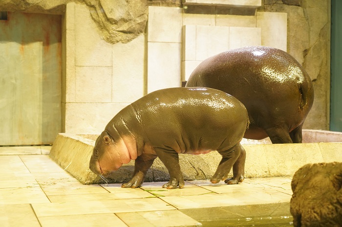 お母さんと一緒で嬉しいテンテン