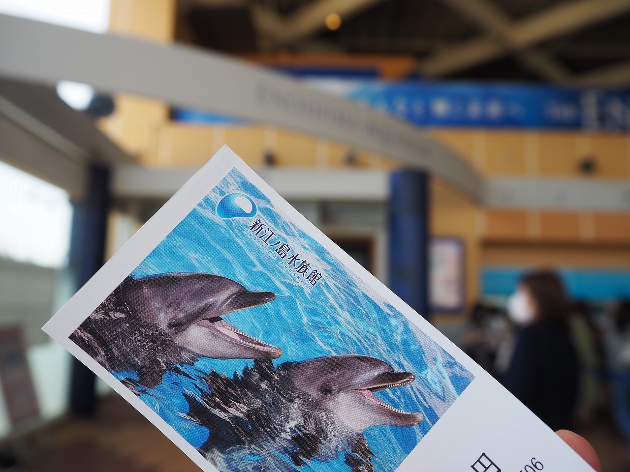 エポスカードで割引になる水族館全10種類！鴨川シーワールド・須磨海浜水族園など北海道から九州までご紹介