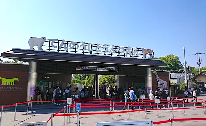 天王寺動物園のアクセス情報まとめ！電車・車・バスでの行き方を詳しく解説！