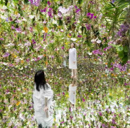 チームラボ『Floating Flower Garden: 花と我と同根、庭と我と一体』