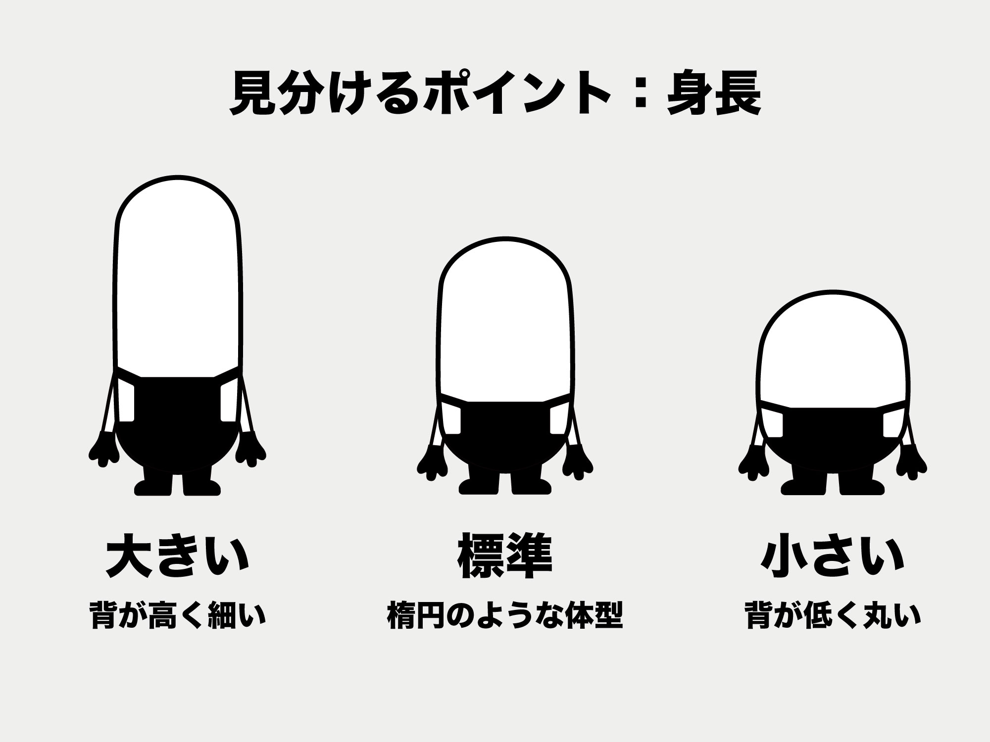 ミニオンの見分け方①：身長