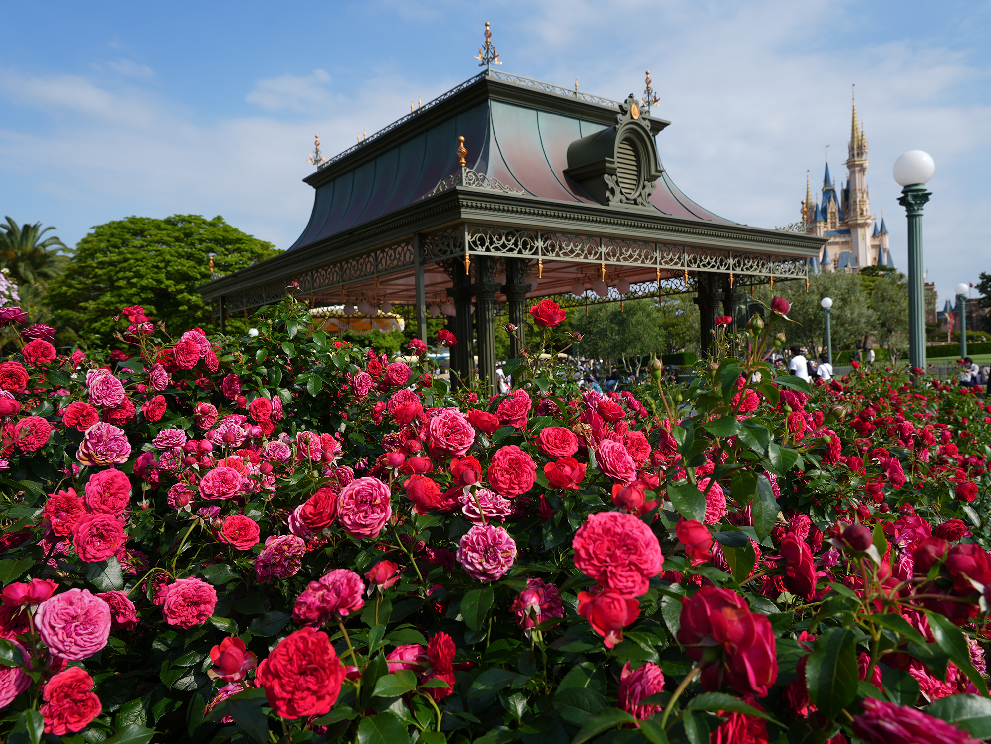 ディズニーランドに咲く花