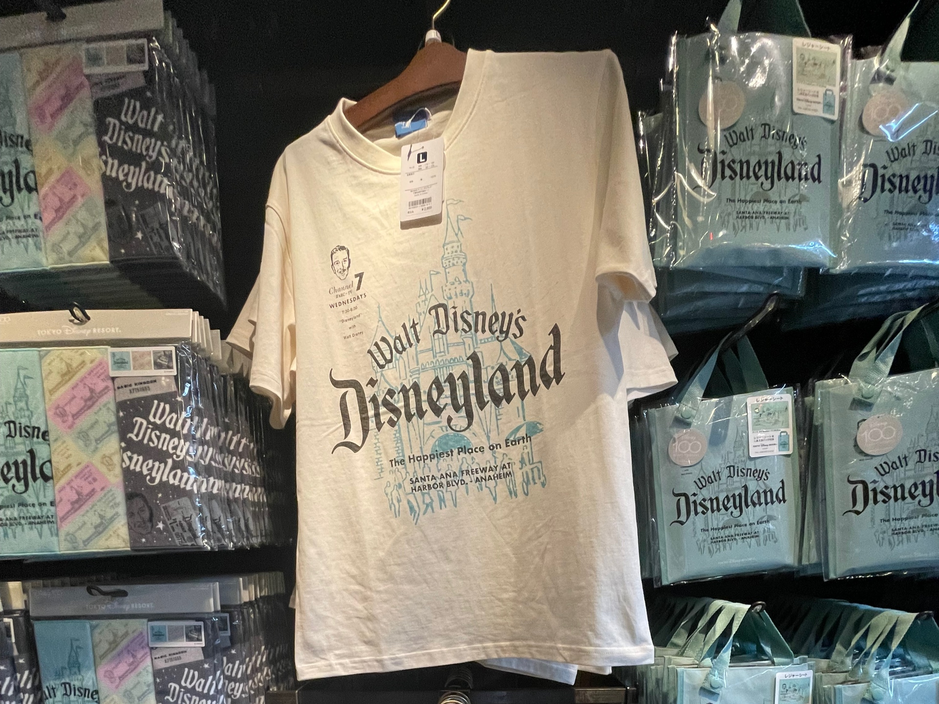 Ｔシャツ（ディズニー100周年グッズ）