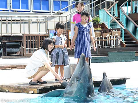 水族館：ツアー・アトラクション