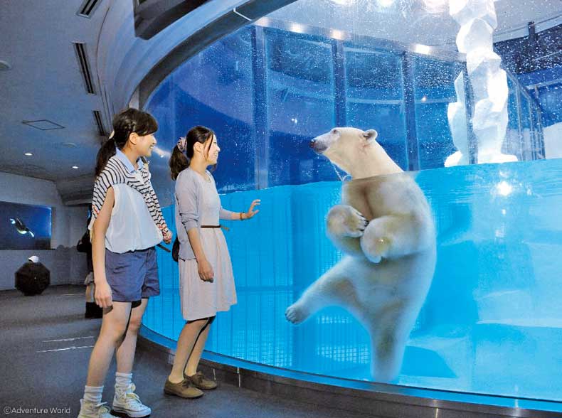 海獣館・ふれあい広場へ