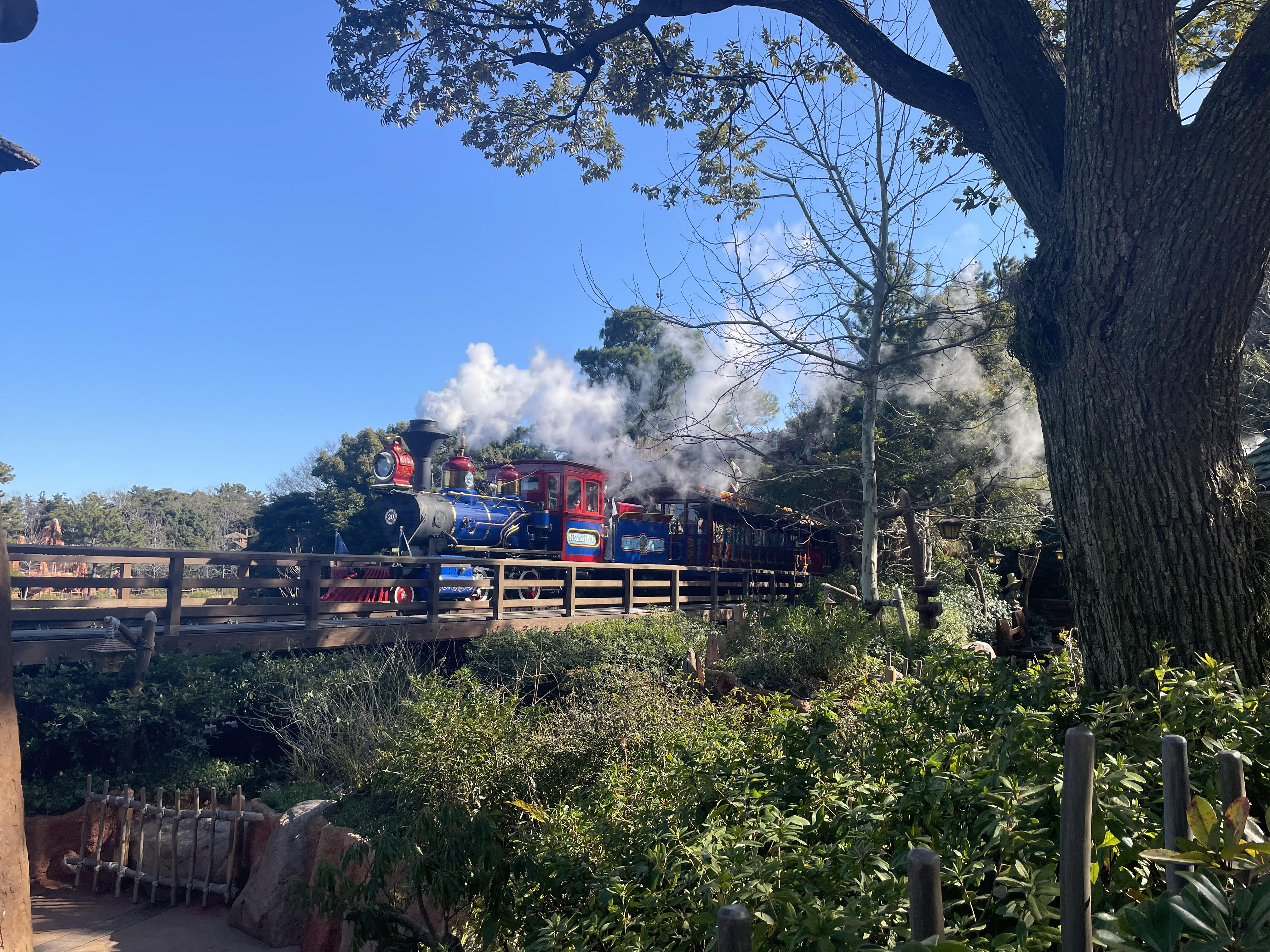 ディズニーランド混雑状況の現地レポート：絶好の写真スポットになったクリッターカントリー