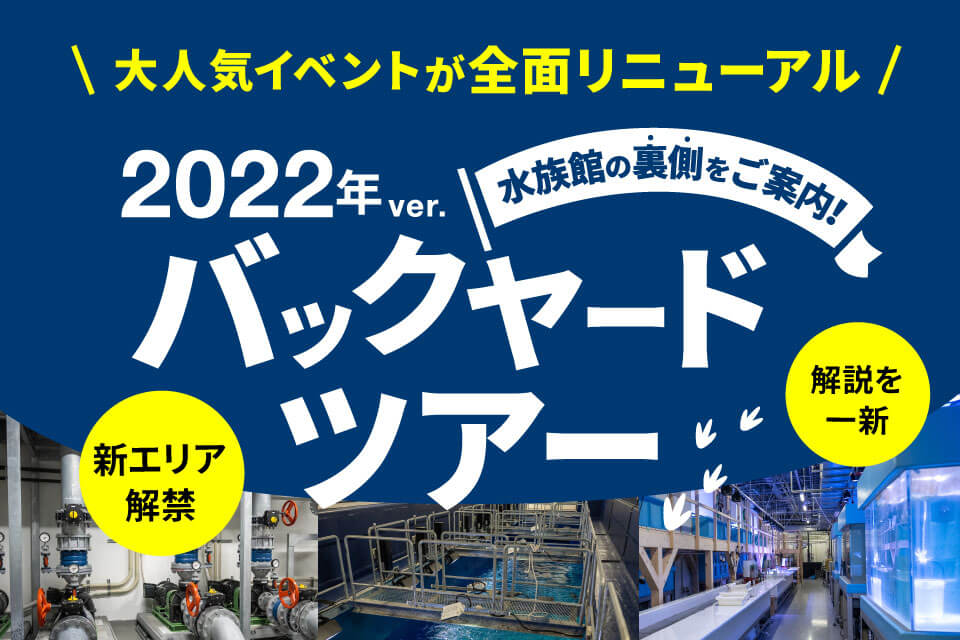 DMMかりゆし水族館　バックヤードツアー