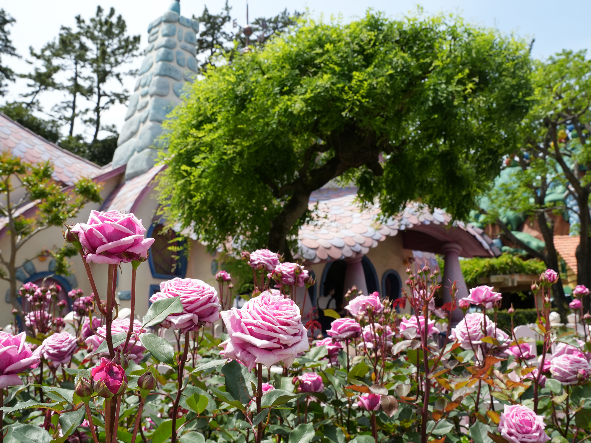 5月のディズニー