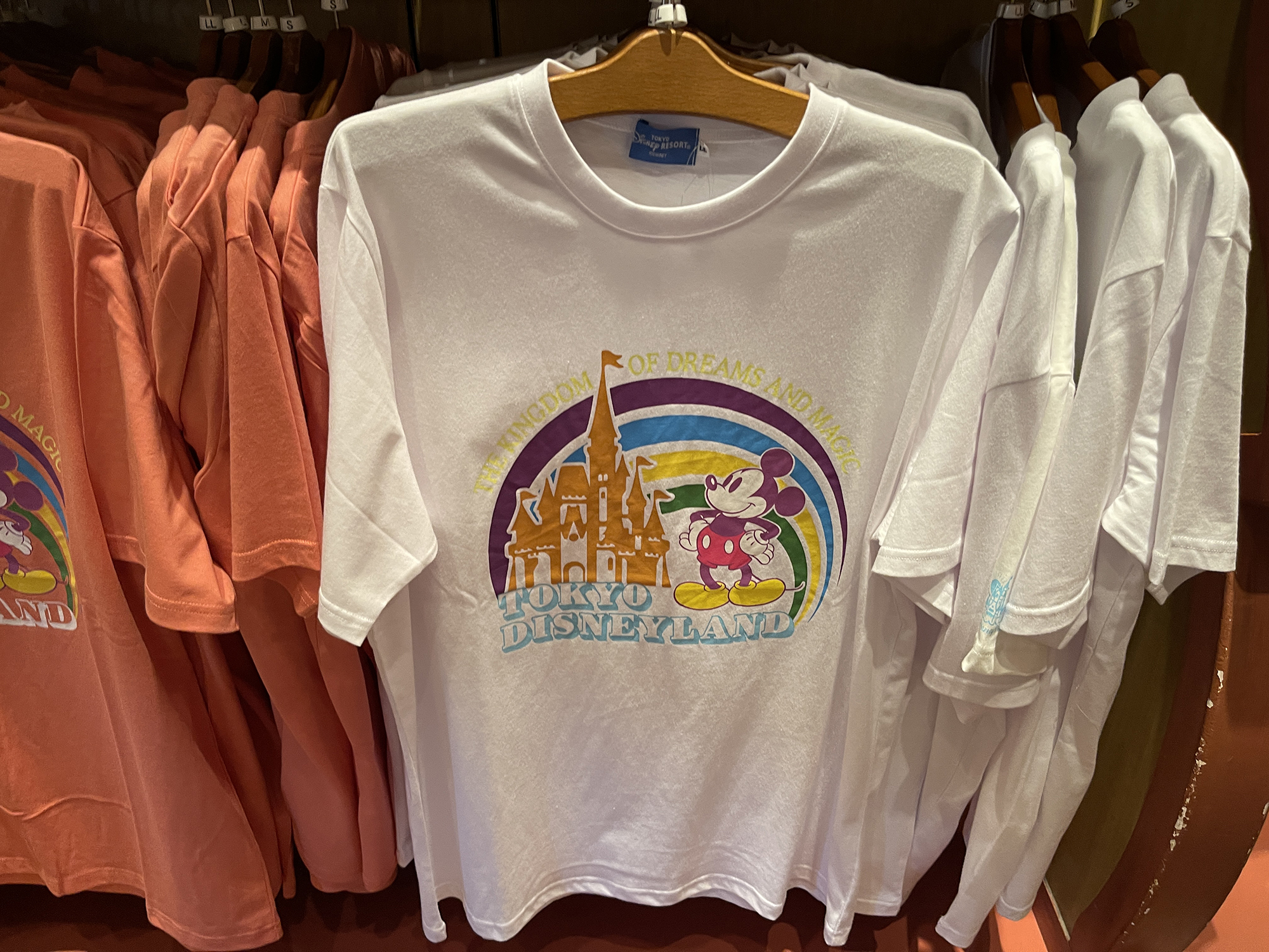 Tシャツ（ディズニーランド）