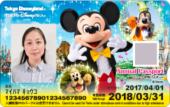 ディズニー年パス2パーク共通