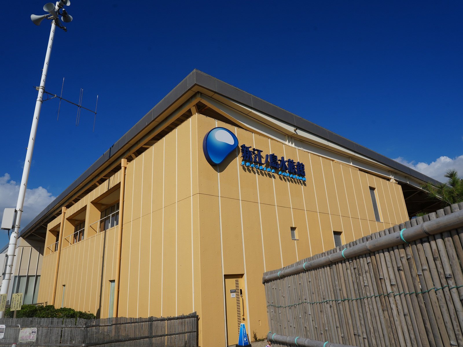 新江ノ島水族館（えのすい）：江ノ島海岸沿いの水族館