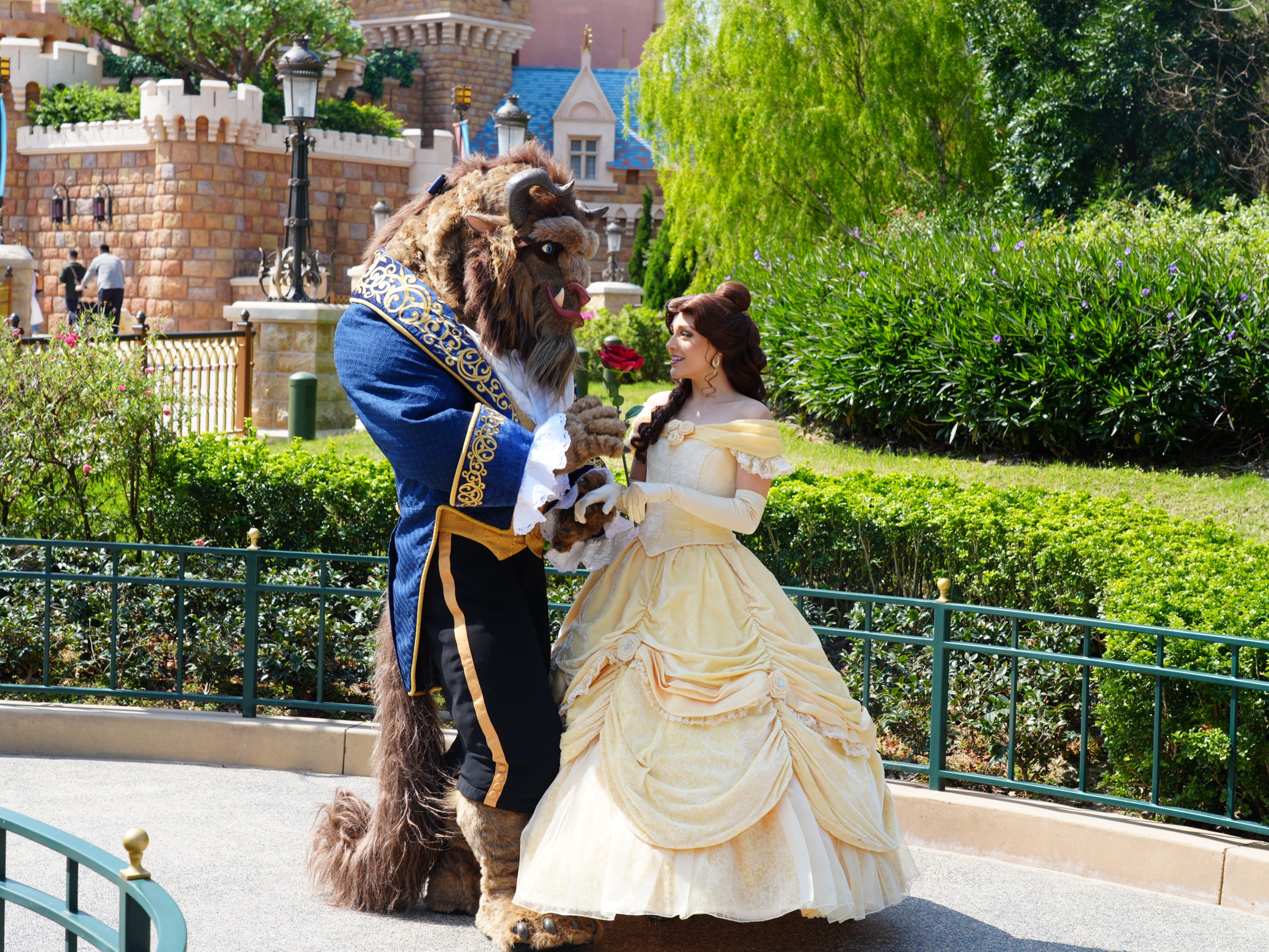 香港ディズニーのグリーティング：ベルと野獣のペアグリ