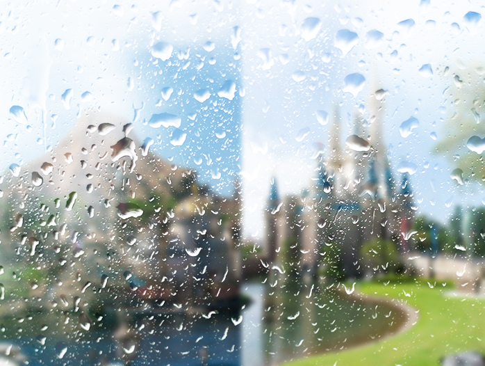 雨の日ディズニー楽しみ方