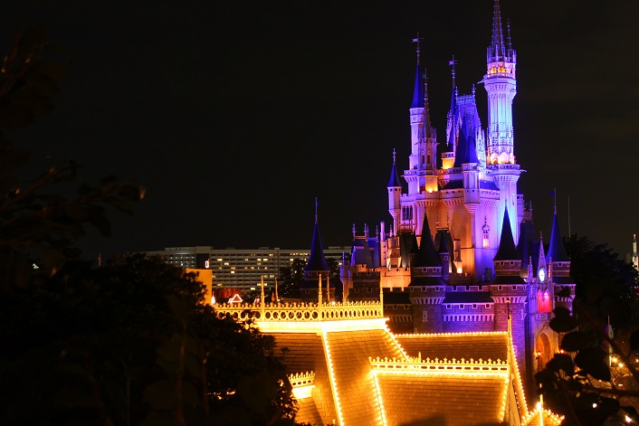 スイスファミリー・ツリーハウスからの夜景