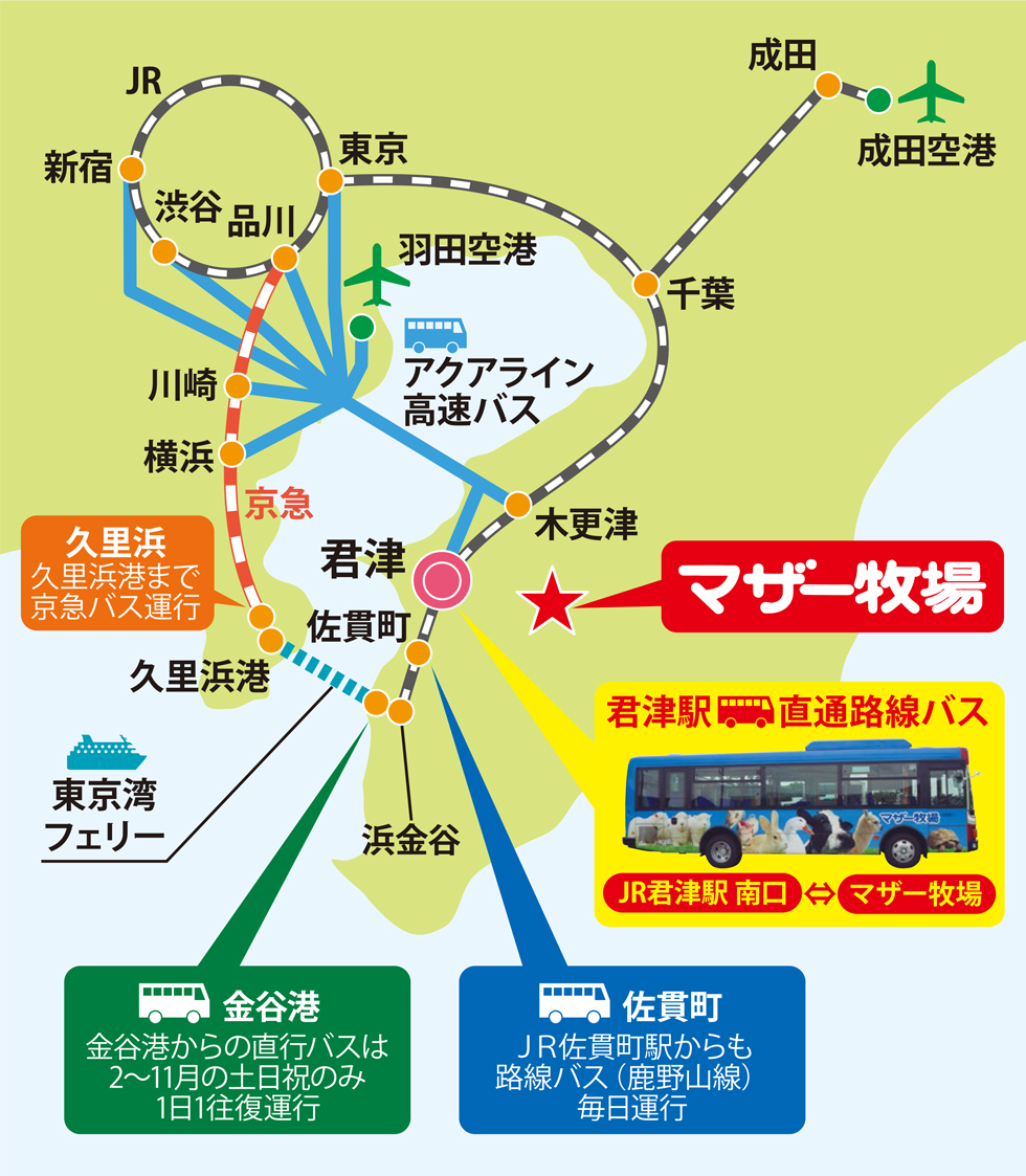 アクセスは電車、バス、車が便利