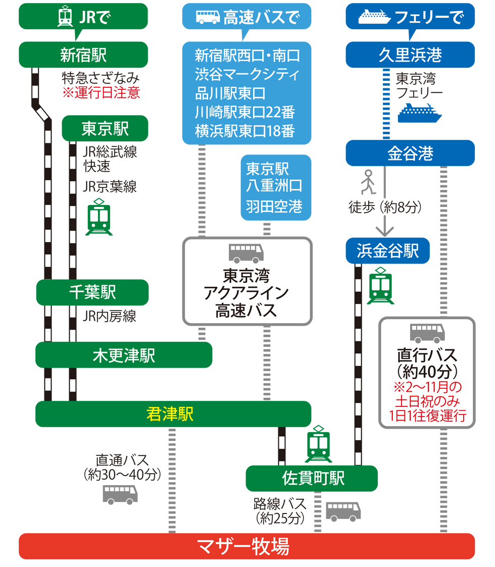 首都圏からは特急でのアクセスも可能