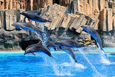 名古屋港水族館