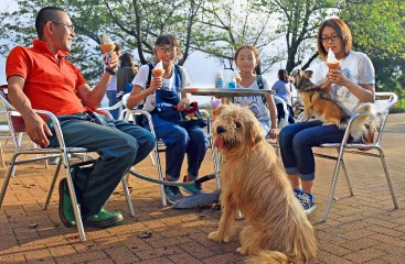 【マザー牧場】犬連れOK！ワンちゃんと一緒に使える施設＆楽しみ方まとめ！