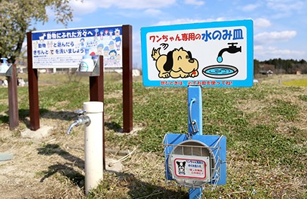 水飲み場