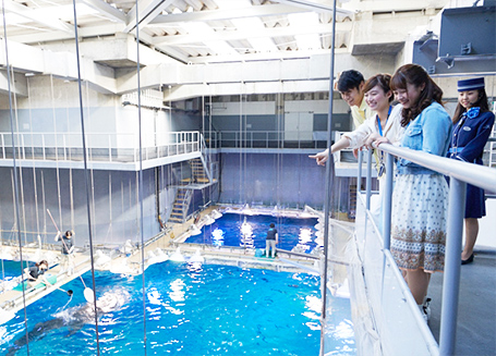 海遊館のガイドツアー