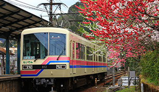 風光明媚な叡山電車