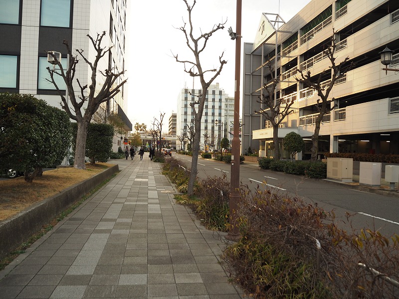 ガーデンふ頭前の道路を進むとコンビニがある所に行けます