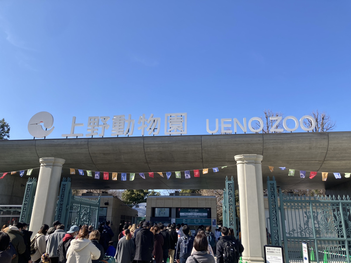 【2023】上野動物園の混雑解説！春休み・GW・夏休み・冬休みの混雑状況＆回避方法まとめ！