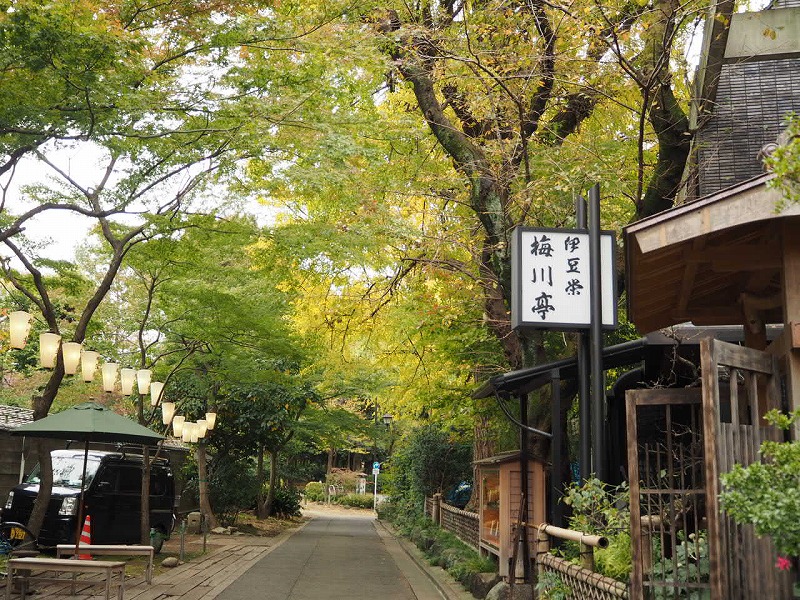 上野公園の紅葉はとっても綺麗ですよ！