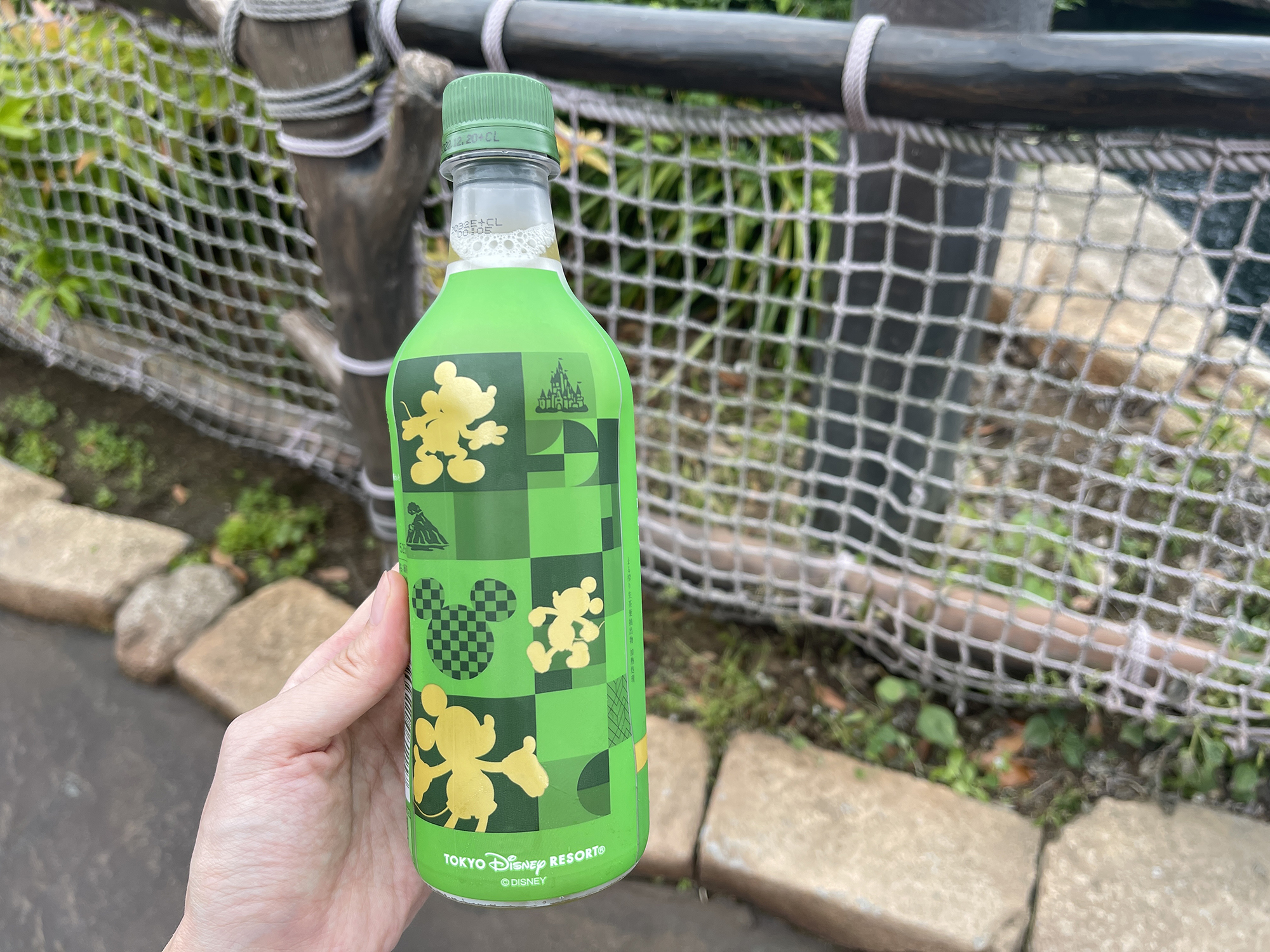 ディズニーランドで飲めるお茶全種類！自販機にお茶はある？子供用の麦茶も販売！