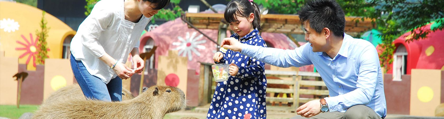 心身ともにリラックスできる阿蘇ファームランドの施設