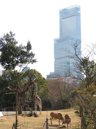 天王寺動物園：【おすすめ①】都会にある動物園