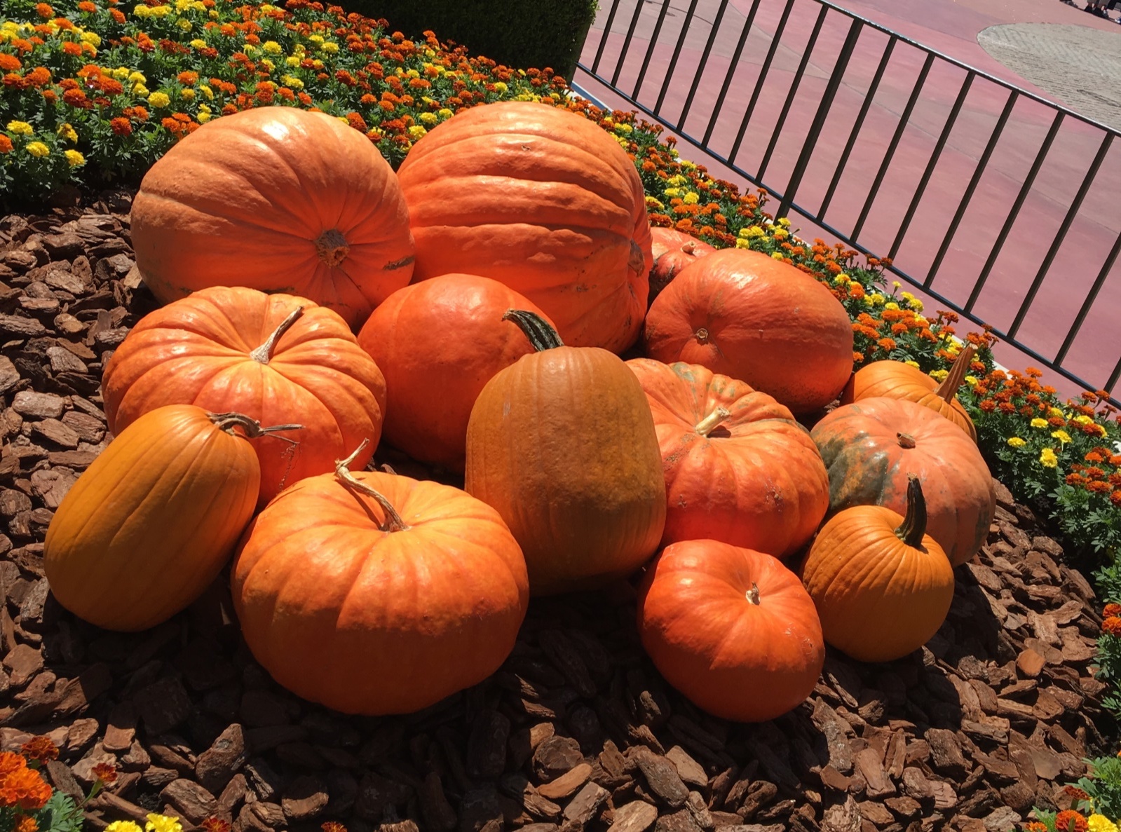 エントランスにはハロウィーンのカボチャが！