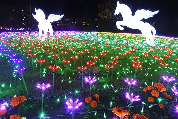 東武動物公園のイルミネーション