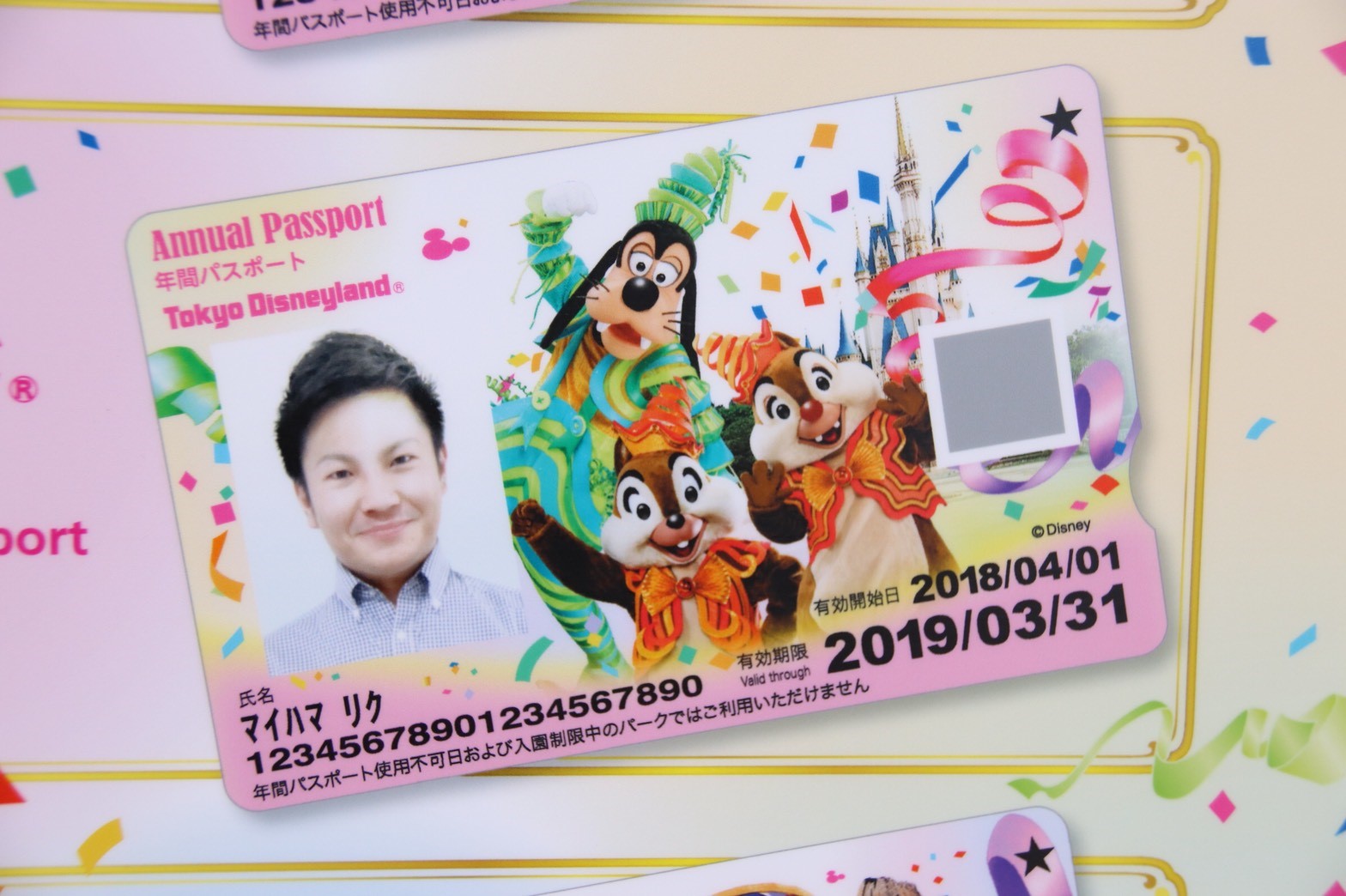 東京ディズニーランド年間パスポート（2018年3月1日（木）～2019年3月25日（月）限定）