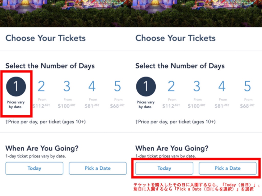 チケットの日数を選択し、1dayチケットなら入園日を決定する