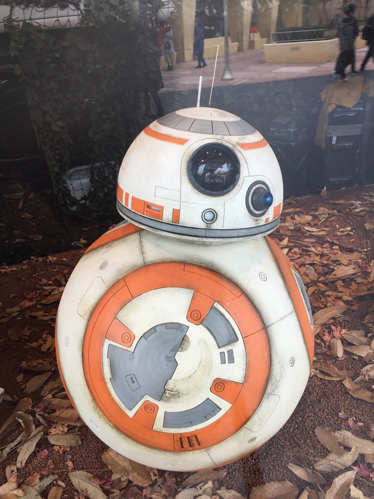 BB-8