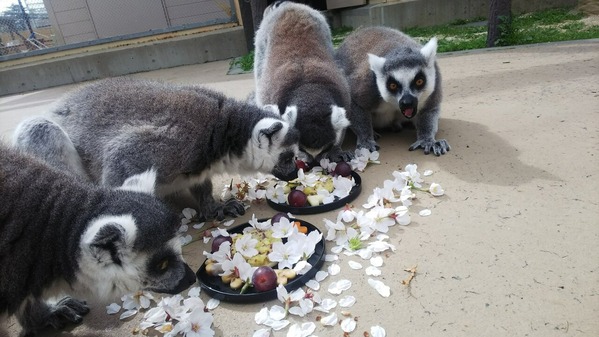 東武動物公園とは？