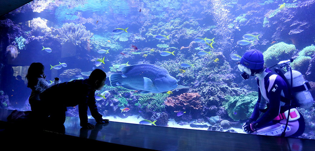 大分マリーンパレス水族館うみたまご