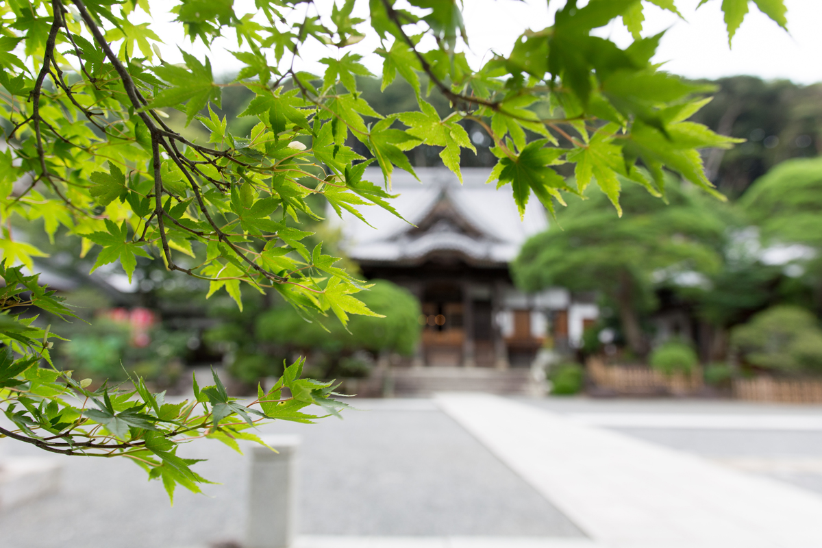 SIGMA 18-35mm F1.8 DC HSM　作例