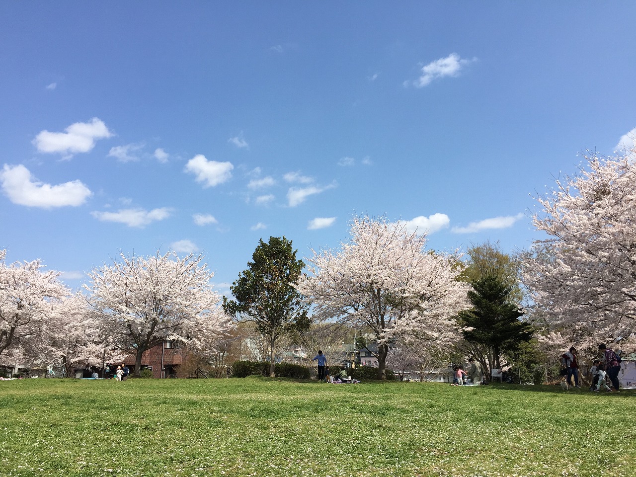 としまえん跡地の大部分は広い公園へ