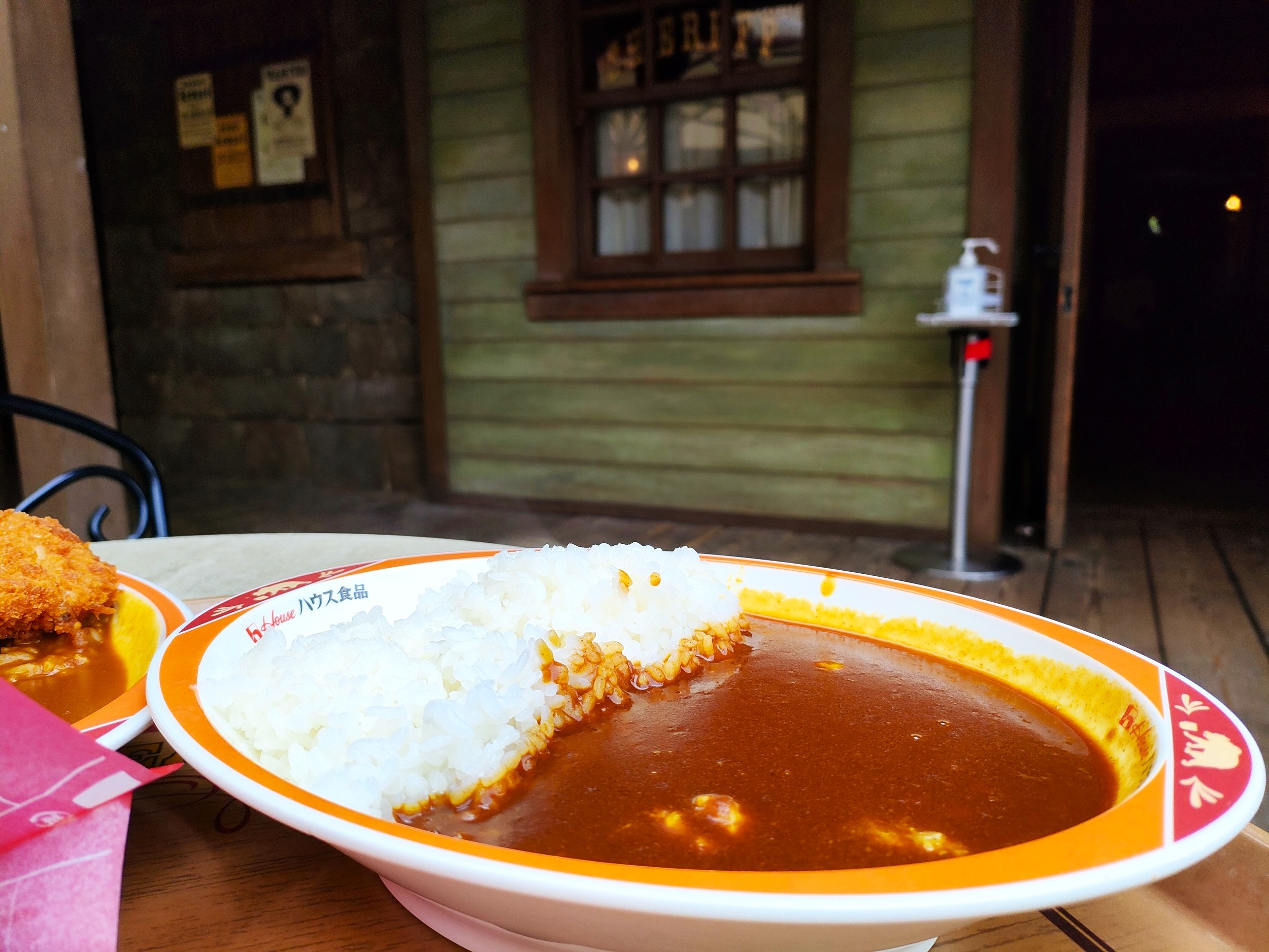 ディズニーランド食べ物：チキンカレー