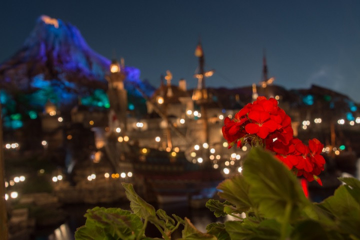 ディズニーシーの夜景を見ながらプロポーズ