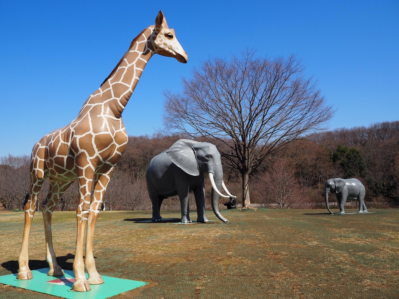 動物のオブジェがたくさんあるころころ広場