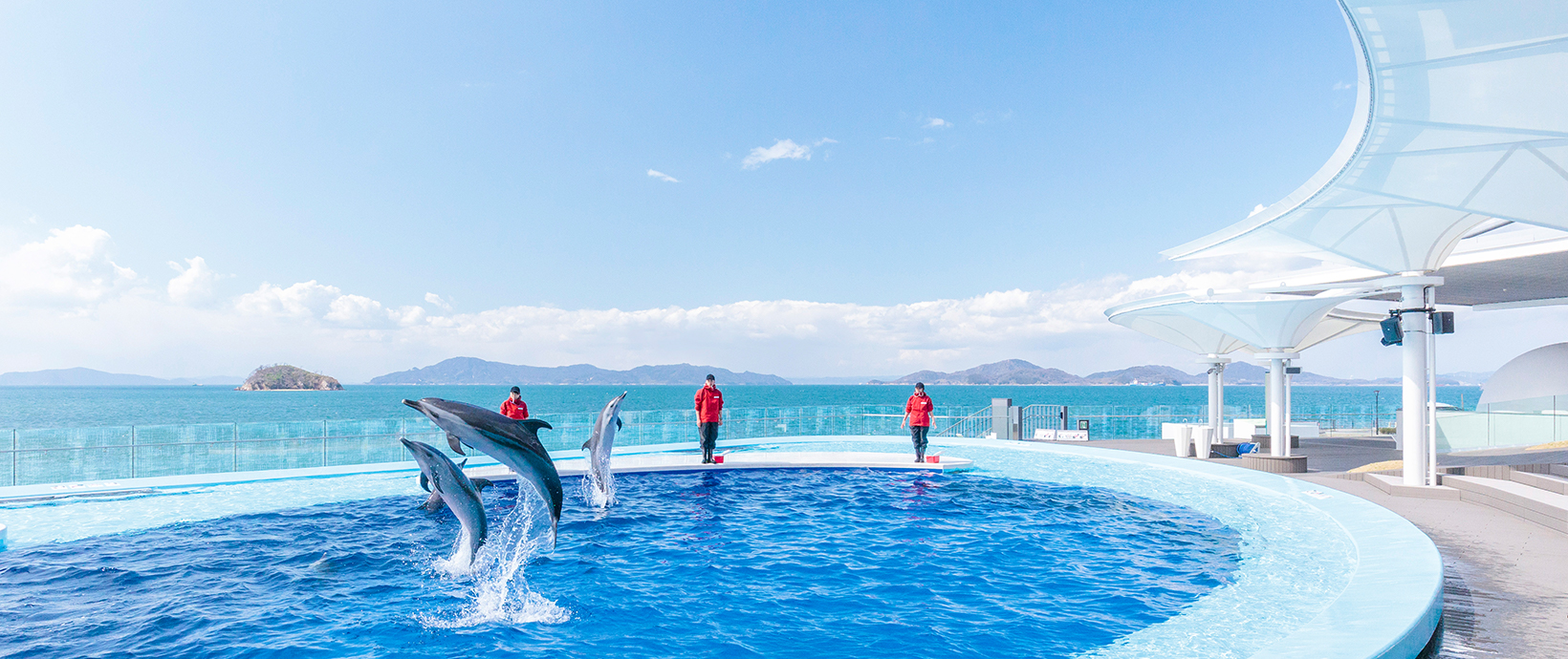 【2023】四国水族館の料金を紹介！チケットの種類、料金、割引はある？入館済みチケットで受けられる特典も！