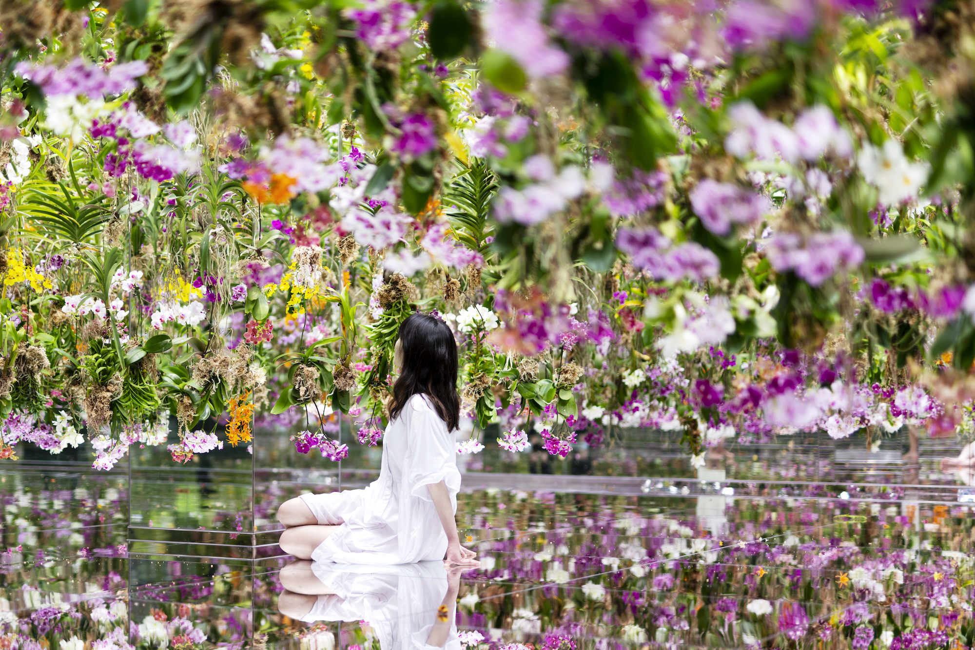 Floating Flower Garden: 花と我と同根、庭と我と一体